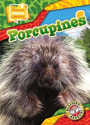 Porcupines image number 0