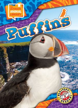 Puffins image number 0