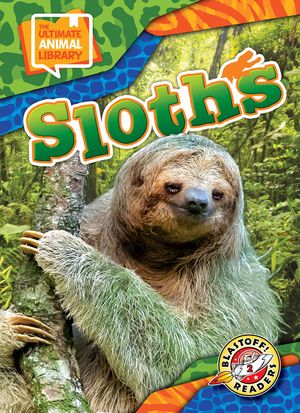 Sloths image number 0