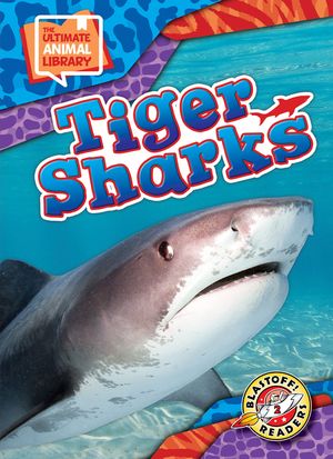 Tiger Sharks image number 0