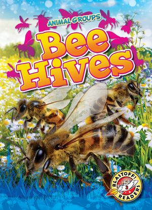 Bee Hives image number 0