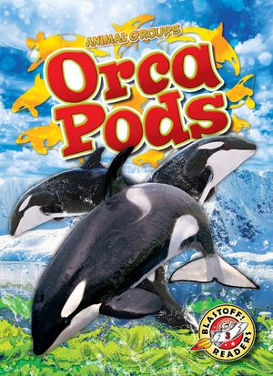 Orca Pods image number 0