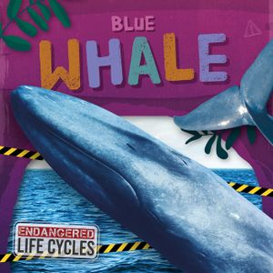 Blue Whale image number 0