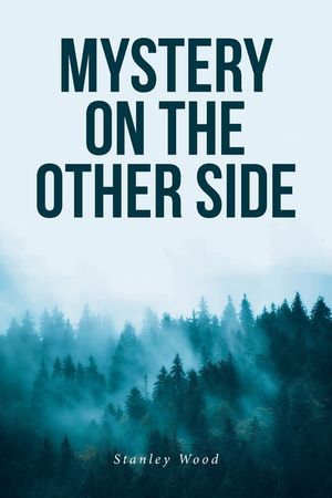 Mystery on the Other Side image number 0