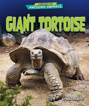 Giant Tortoise image number 0