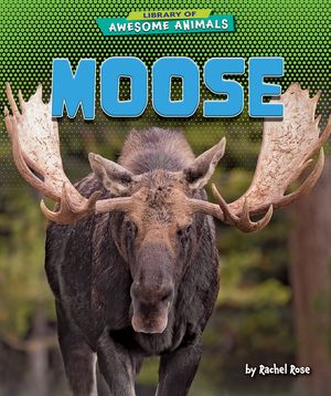 Moose image number 0