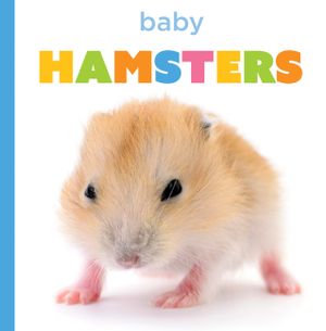 Baby Hamsters image number 0