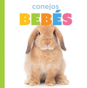 Conejos Beb&eacute;s image number 0