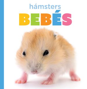 H&aacute;msters Beb&eacute;s image number 0