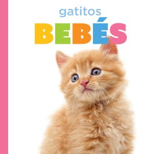 Gatitos Beb&eacute;s image number 0
