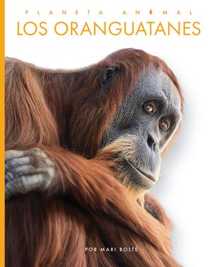 Los Oranguatanes image number 0