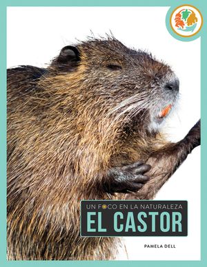 El Castor image number 0