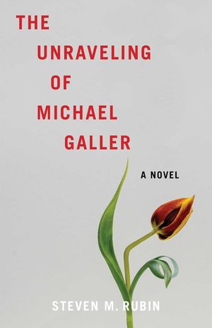 The Unraveling of Michael Galler image number 0