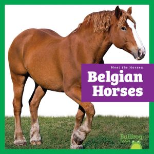 Belgian Horses image number 0