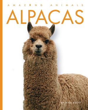 Alpacas image number 0