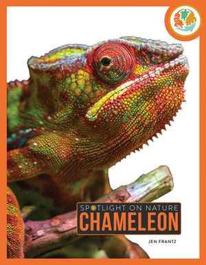 Chameleon image number 0