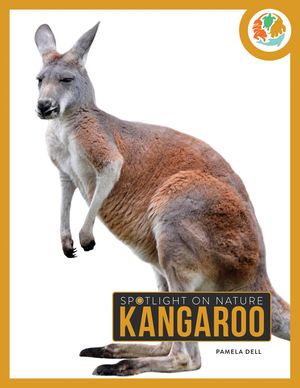 Kangaroo image number 0