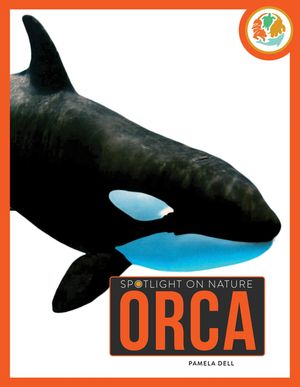 Orca image number 0