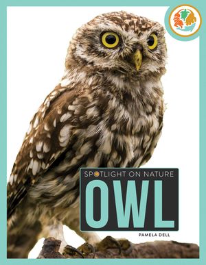 Owl image number 0