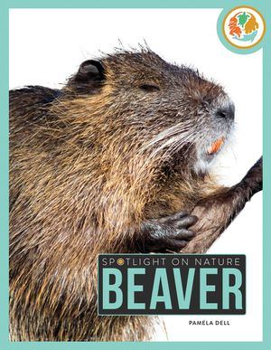 Beaver image number 0