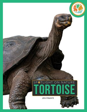 Tortoise image number 0