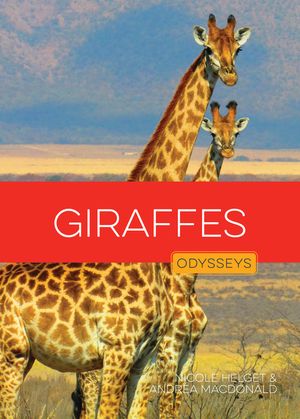 Giraffes image number 0