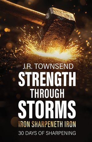 Strength Through Storms: Iron Sharpeneth Iron, 30 Days of Sharpening image number 0
