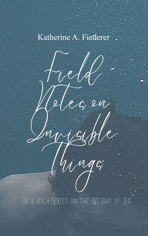 Field Notes on Invisible Things image number 0