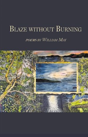 Blaze without Burning image number 0