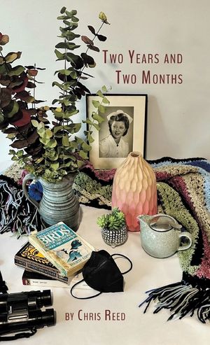 Two Years and Two Months image number 0