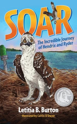 Soar: The Incredible Journey of Hendrix and Ryder image number 0