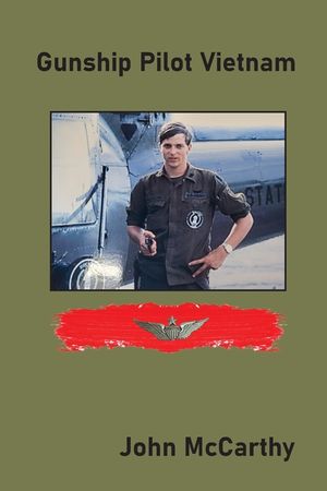 Gunship Pilot Vietnam image number 0