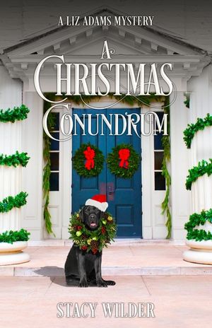 A Christmas Conundrum image number 0