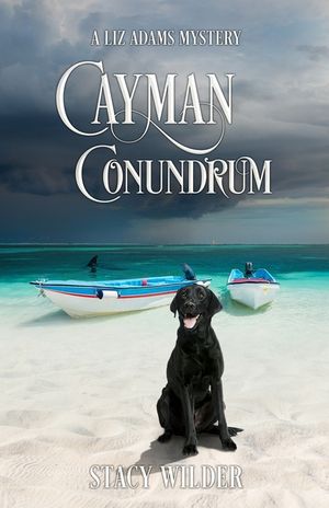 Cayman Conundrum: A Liz Adams Mystery image number 0