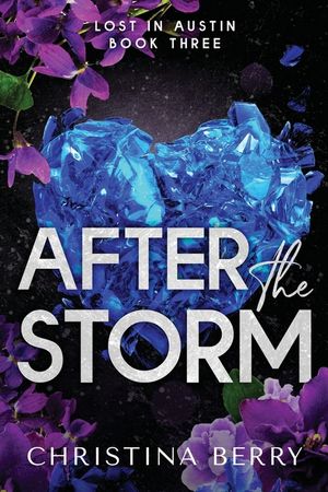 After the Storm: Lost in Austin Book 3 image number 0