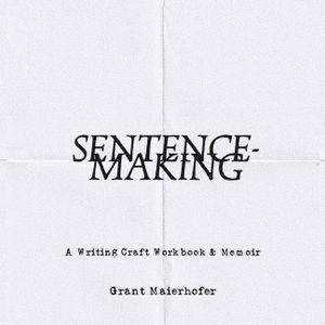 Sentence-Making image number 0