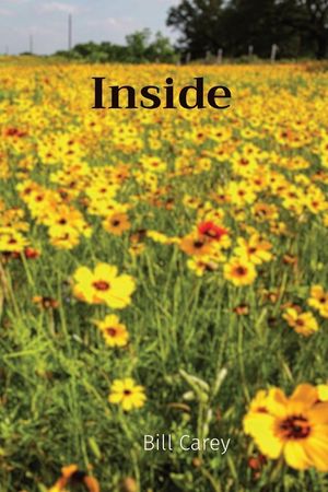 Inside image number 0