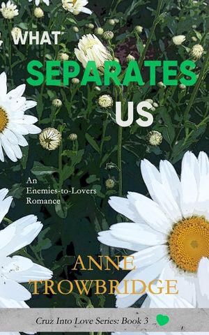What Separates Us: An Enemies-to-Lovers Romance image number 0