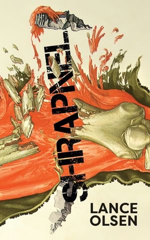 Shrapnel: Contemplations image number 0