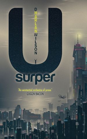Usurper: Essays on the Death of Reality image number 0