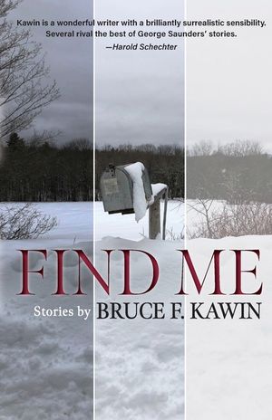 Find Me image number 0