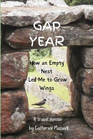 Gap Year: How an Empty Nest Led Me to Grow Wings image number 0