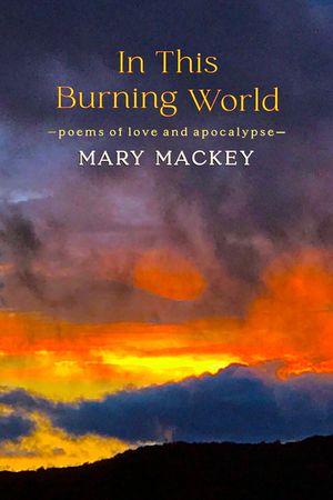In This Burning World: Poems of Love and Apocalypse image number 0