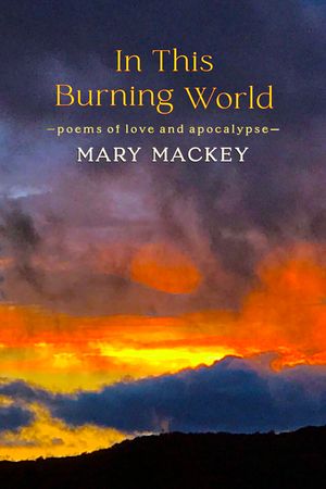 In This Burning World: Poems of Love and Apocalypse image number 0