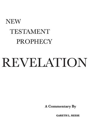Revelation: A Critical and Exegetical Commentary image number 0
