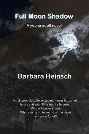 Full Moon Shadow: Young Adult Novel image number 0