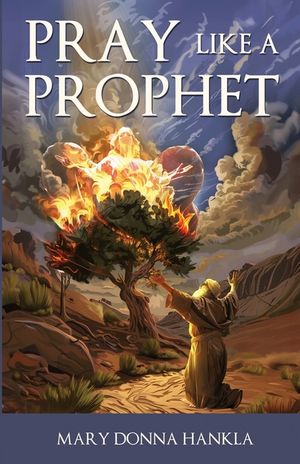 Pray Like A Prophet image number 0
