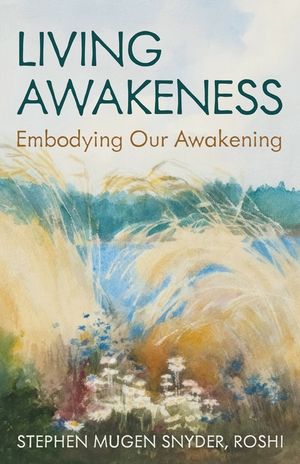 Living Awakeness: Embodying Your Awakening image number 0