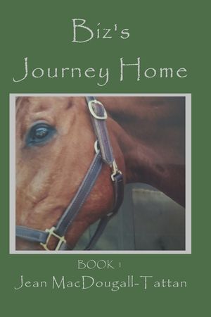 Biz's Journey Home image number 0