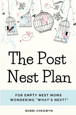 The Post Nest Plan image number 0